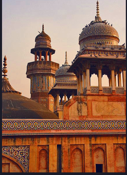 Mughal Art Patterns from Wazir Khan Mosques