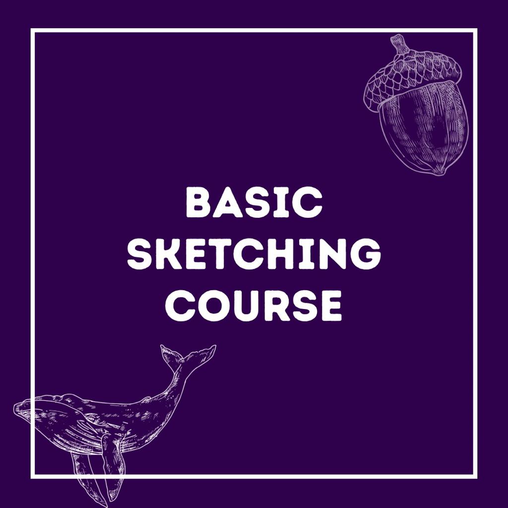 Basic Sketching Course